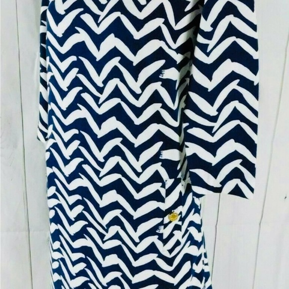 Lilly Pulitzer Navy & White I Got Lucky Bird Charlene Chevron Shift Dress - Picture 3 of 8